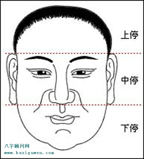 痣的位置与命运：三停